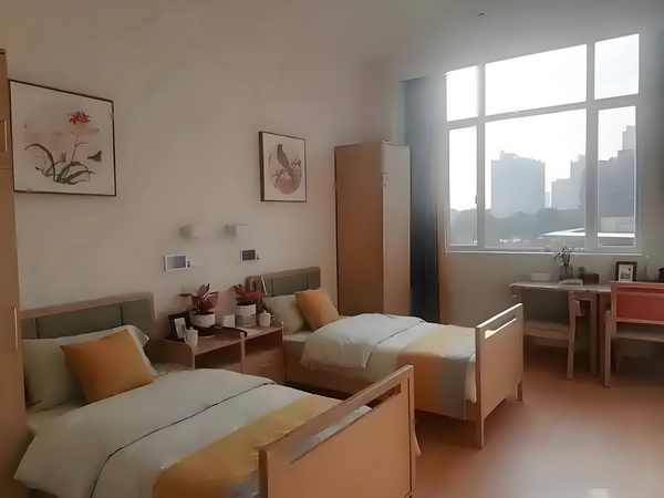 向域世界传奇